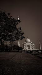 The Taj Mahal, a UNESCO World Heritage Site