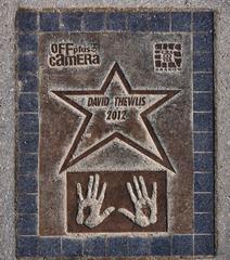 Star of David Thewlis on the Avenue of Stars in Krakow on Czerwieńsk Bulwar