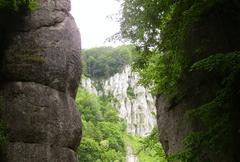 scenic view of Ojcowski National Park