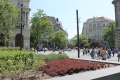 Budapest Inner City Hungary panoramic view