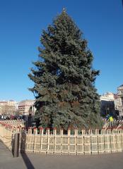 Hungary's Christmas tree at Kossuth Square in Lipótváros, Budapest