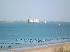 Fort Boyard viewed from Saumonards beach