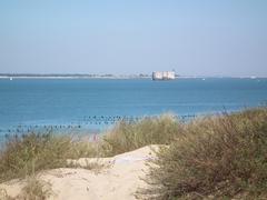 Fort Boyard as seen from Saumonards Beach