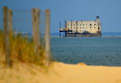 aerial view of Boyardville beach with Fort Boyard in the background