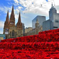 Handmade poppies covering Federation Square in Melbourne