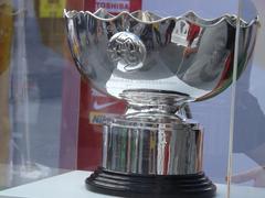 2015 AFC Asian Cup on tour at Federation Square, Melbourne