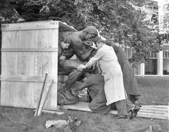 De Denker being unpacked for Stedelijk Museum garden