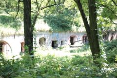 Kraków Fort Prokocim