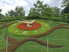 Reloj De Flores