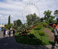 Grande roue au Jardin anglais de Genève avec horloge fleurie