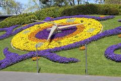 Horloge fleurie in Jardin Anglais park, Geneva