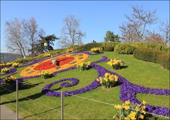 Horloge fleurie de Genève in a park