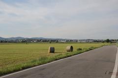 Panorama of Chieri with the Monumento ai Caduti