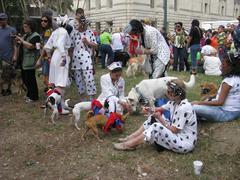 Paraders at Armstrong Park for Krewe of Barkus dog Mardi Gras parade, New Orleans