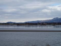 View of Alloa Inch island from South Alloa with river Forth's mudflats, pier, old boats, and Wallace Monument on the left