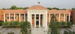 ARID Agriculture University Rawalpindi campus building