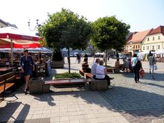 Rybnicki Rynek, Poland monument