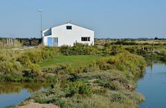 House in the swamp in Mornac-sur-Seudre, Charente-Maritime