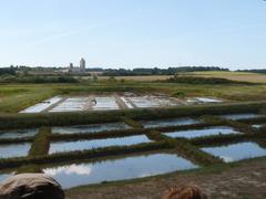 Marais salant in Mornac-sur-Seudre, Charente-Maritime, France