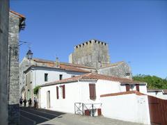 Mornac-sur-Seudre, picturesque village with waterway and historic buildings