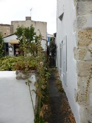 narrow alley in Mornac-sur-Seudre