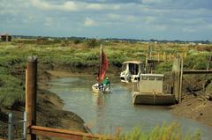 La Seudre river at low tide