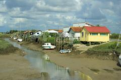 La Seudre at low tide viewed from Mornac-sur-Seudre