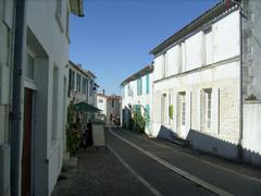 scenic cobblestone street with colorful buildings