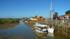 Marais de la Seudre in Mornac, Charente-Maritime