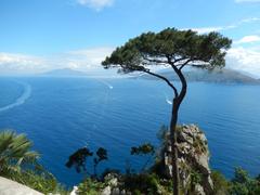 View of Mount Vesuvius from Villa Lysis in Capri