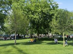 A scenic view of Erzsébet tér in Budapest with lush greenery and a reflecting pool