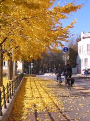 Cyclists starting a tour