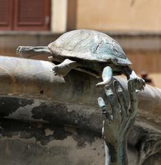 Fontana delle Tartarughe in Rome