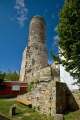 Jenštejn castle ruins with surrounding greenery