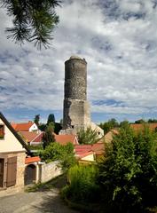 Jenštejn Tower in Praha-východ