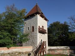 View of Wieliczka in Poland