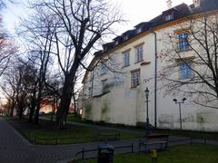 Wieliczka Castle Żupny from Planty