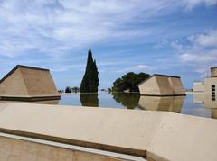 Roof of the Fundación Pilar i Joan Miró museum with water reflection