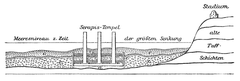 Cross-section of Serapis Temple showing old mosaic pavement, marine layers, volcanic tuff and ash, and freshwater limestone