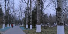 Park in the haze, with trees, people, and a cloudy sky