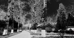 Park near home with trees, road, and building