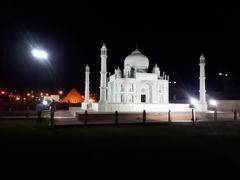 Distant view of the Taj Mahal surrounded by greenery