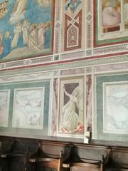 Interior of Cappella degli Scrovegni in Padova showcasing fresco paintings