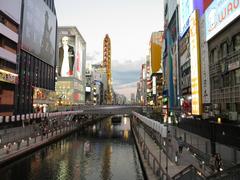 Dotonbori district view at night with neon lights and advertisements