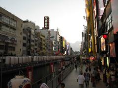 Dotonbori bustling night scene