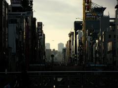 night view of Dotonbori with illuminated signboards and reflections on the river