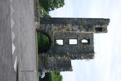 Mellifont Abbey view