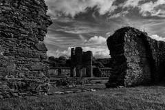 Mellifont Abbey in Drogheda