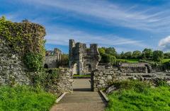 Mellifont Abbey in Drogheda Ireland