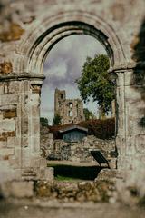 Mellifont Abbey in Drogheda